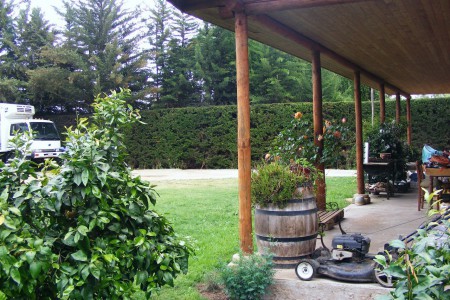 Vista Posterior Jardín